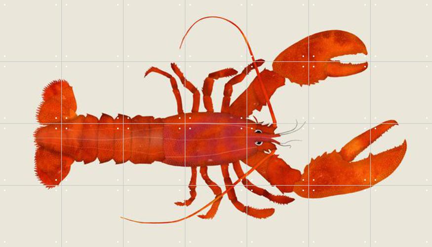 Lobster Door Merel Corduwener Ixxi