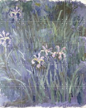 'Iris' van Claude Monet & Bridgeman Images