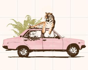 'Tiger on Car' by Florent Bodart