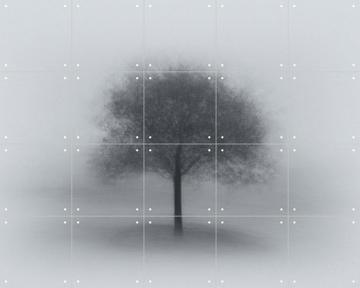 'Tree in Fog' van Aidong Ning & 1X