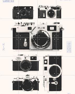 'Cameras' by Florent Bodart