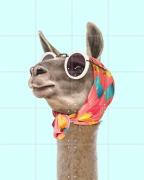 'Fashion Lama' van Paul Fuentes