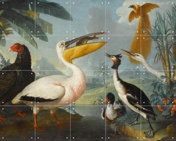 'Exotic Birds' by Desportes François  & Musée du Louvre