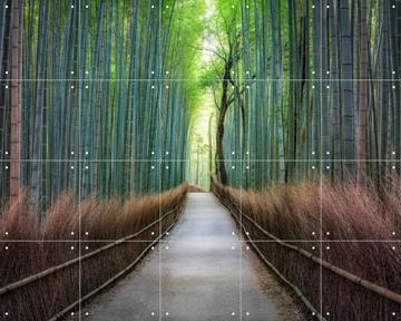 'Arashiyama bamboo grove, Kyoto, Japan' by Jan Becke