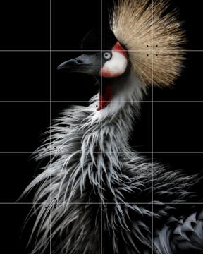 'Crowned Crane's Portrait' van Elji Itoyama & 1X