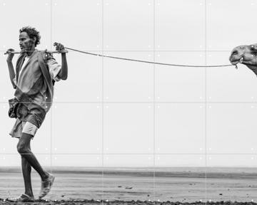 'Man with his Camel' by Photolovers