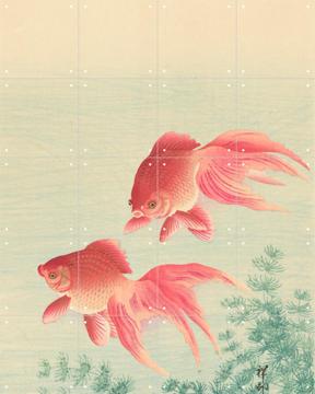 'Deux poissons rouges' par Ohara Koson & Rijksmuseum