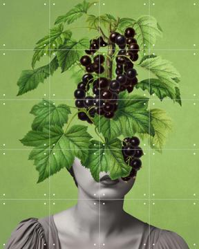 'The Blackcurrant Miracle' by Marja van den Hurk