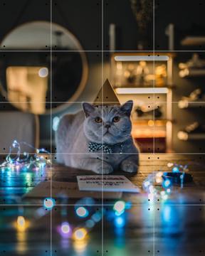 'Birthday Cat' van Tristan Zhou