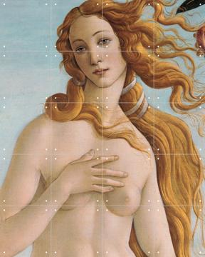 'The Birth of Venus (detail)' van Sandro Botticelli  & Bridgeman Images