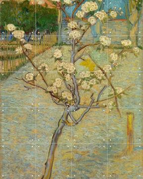 'Small Pear Tree in Blossom' by Vincent van Gogh & Van Gogh Museum