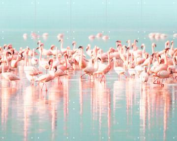 'Flamingos' by Lila + Lola