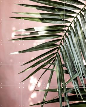 'Palm Leaves 23' by Mareike Böhmer