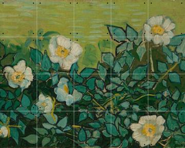 'Wild Roses' by Vincent van Gogh & Van Gogh Museum