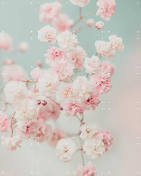 'Pink Gypsophilia Flowers' von Ingrid Beddoes