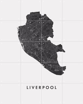 'Liverpool City Map' par Art in Maps