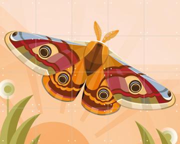 'Emperor Moth' by Elke Uijtewaal