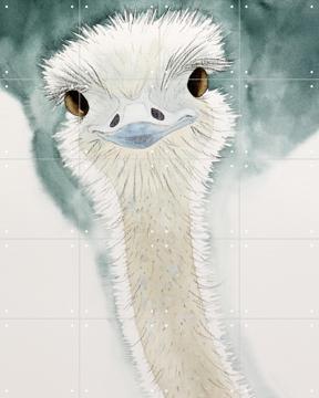 'Happy Ostrich' by Natalie Bruns