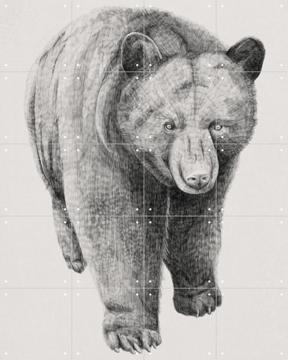 'Black Bear' by Artist unknown & Natural History Museum