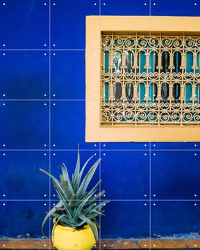 'Yellow and Blue Agave' van Pati Photography