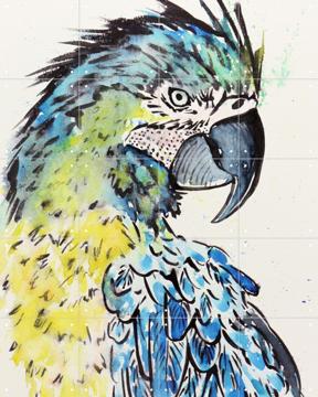 'The Blue Macaw Parrot' by Natalie Bruns