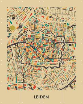 'Leiden Mosaic Map' by Art in Maps