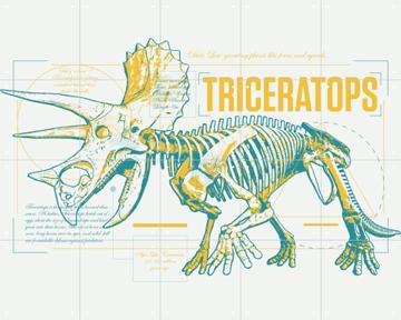 'Triceratops Skeleton' by Jurassic Park & Universal Pictures