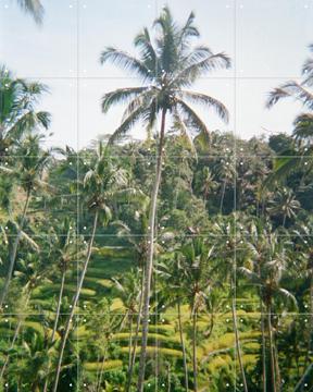 'Ubud Ricefield Terrace' par We Like Bali