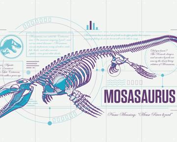 'Mosasaurus Skeleton' by Jurassic Park & Universal Pictures