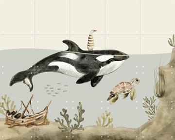 'Orca Ocean' von Irene Jelier