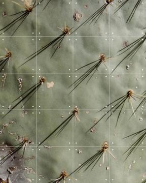 'Cactus Zoom' von Chris Abatzis