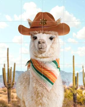 'Cowboy Alpaca' van Paul Fuentes