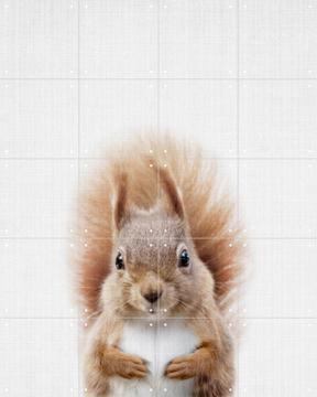 'Squirrel' by Lila + Lola