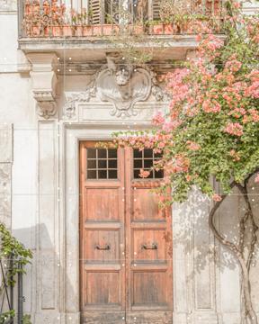 'Floral Entry in Rome' by Henrike Schenk