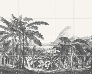 'Palms and Mountain' van Aster Edition