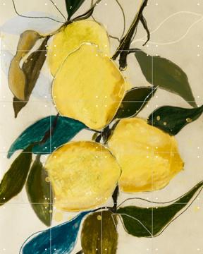 'Lemon Study 1' by Leigh Viner