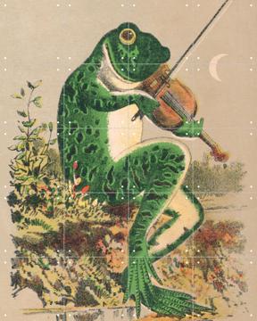 'Frog playing violin' van Aster Edition