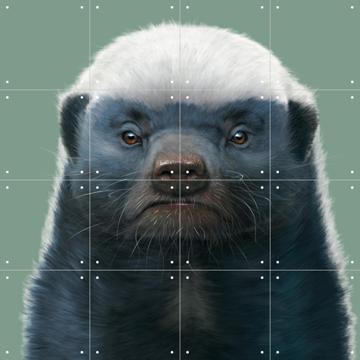 'Honey Badger Portrait' by Vincent Hie