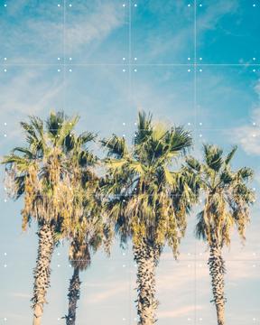 'Barcelona Palm Trees' van Pati Photography