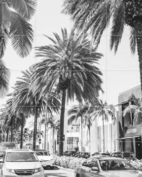 'Rodeo Drive' by Pati Photography