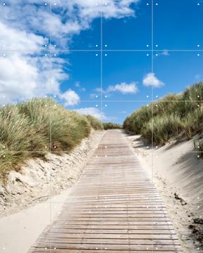 'Path through the dunes' by Jan Becke