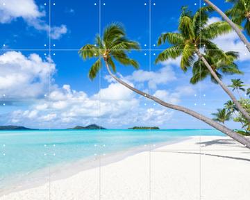 'Tropical beach on Bora Bora, French Polynesia' by Jan Becke