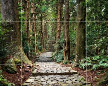 'Kumano Kodo Pilgrimage Route' by Jan Becke