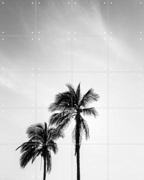 'Palms In The Middle East' by Photolovers