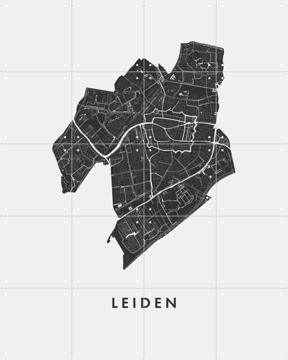 'Leiden City Map' by Art in Maps