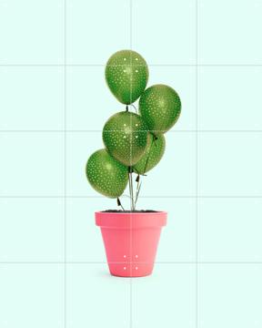 'Cactus Balloon' van Paul Fuentes