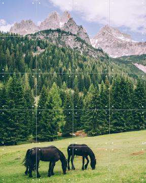 'Friesian Horses in Alps' by Pati Photography