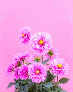 'Flowers in Pink' van Pati Photography