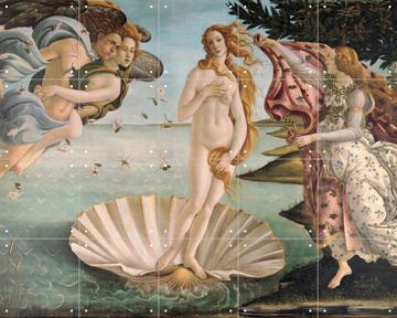 'The Birth of Venus' van Sandro Botticelli  & Bridgeman Images