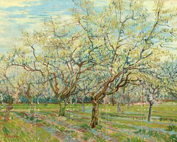 'The White Orchard' by Vincent van Gogh & Van Gogh Museum